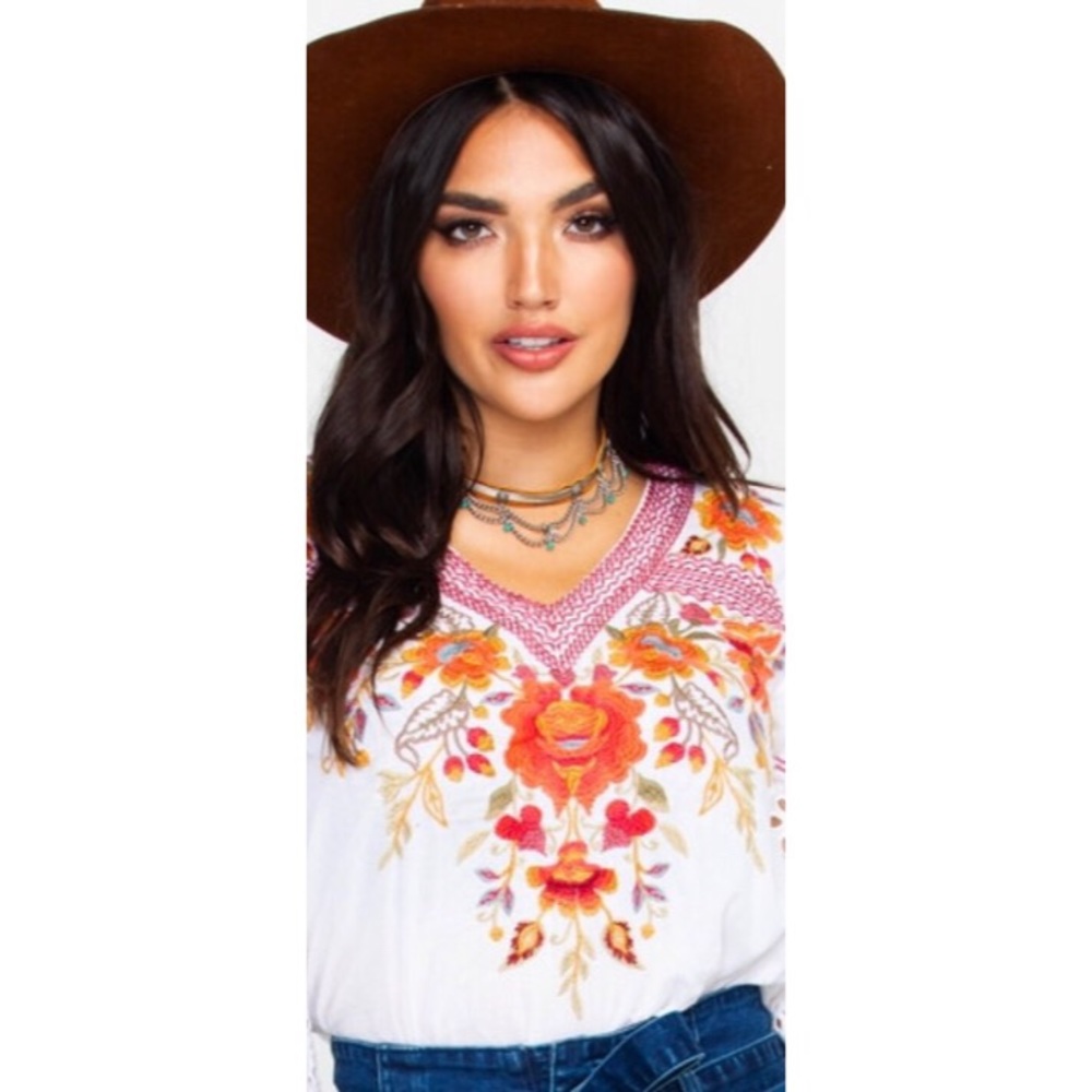 XL Johnny Was Embroidered Swing Blouse Top V-Neck - Picture 3 of 7